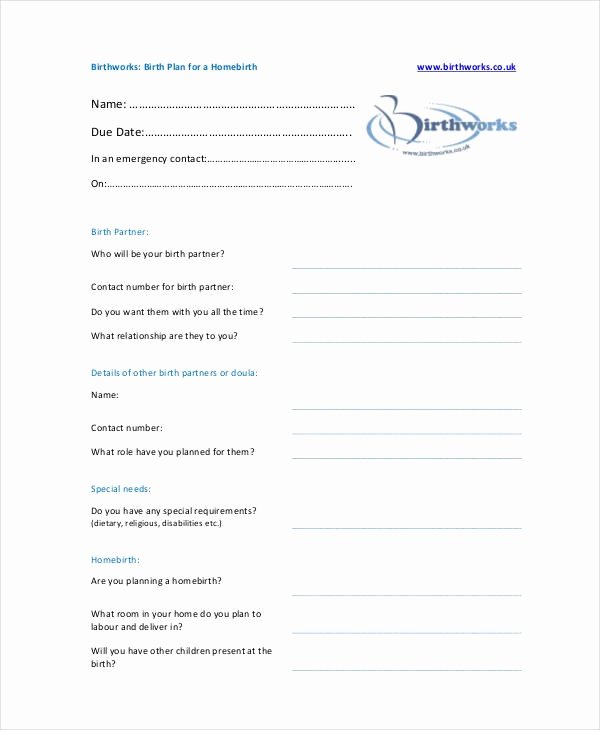 Birth Plan Template Word Awesome Birthing Plan Template