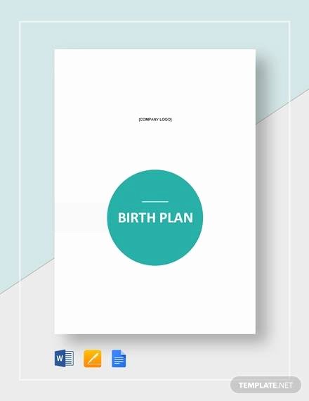 Birth Plan Template Word Best Of Birth Plan Example 11 Samples In Word Pdf