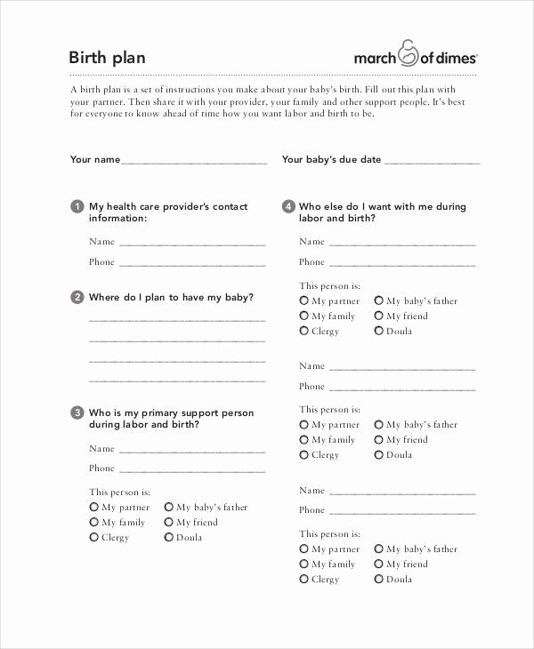 Birth Plan Template Word Doc Awesome Birth Plan Template – 15 Free Word Pdf Documents