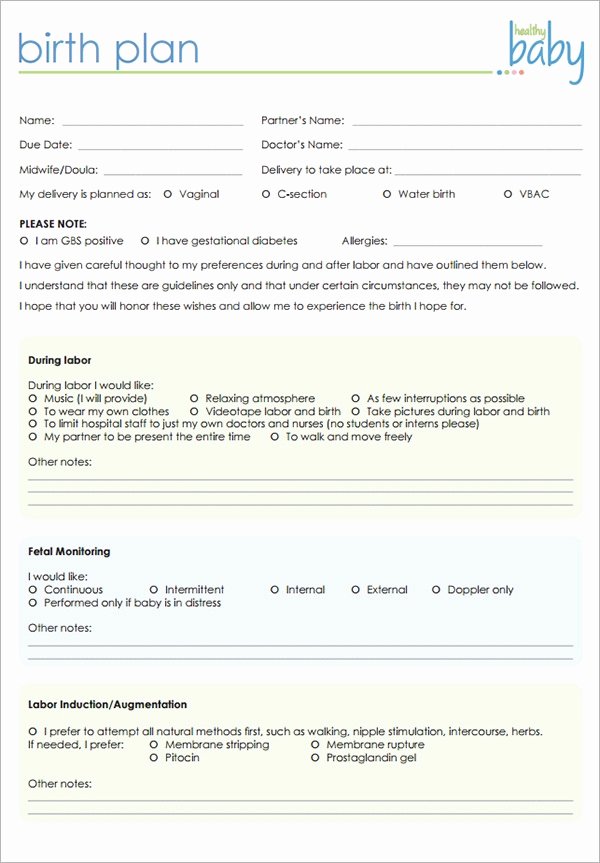 Birth Plan Template Word Doc Awesome Free 23 Sample Birth Plan Templates In Pdf Word