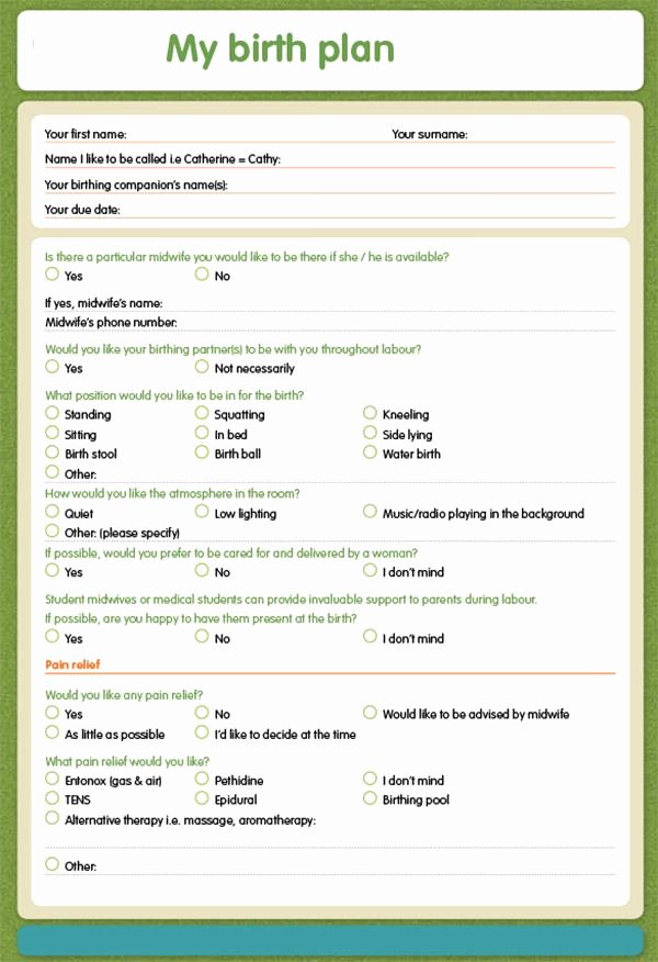 Birth Plan Template Word Doc Fresh Birth Plan Template 20 Download Free Documents In Pdf
