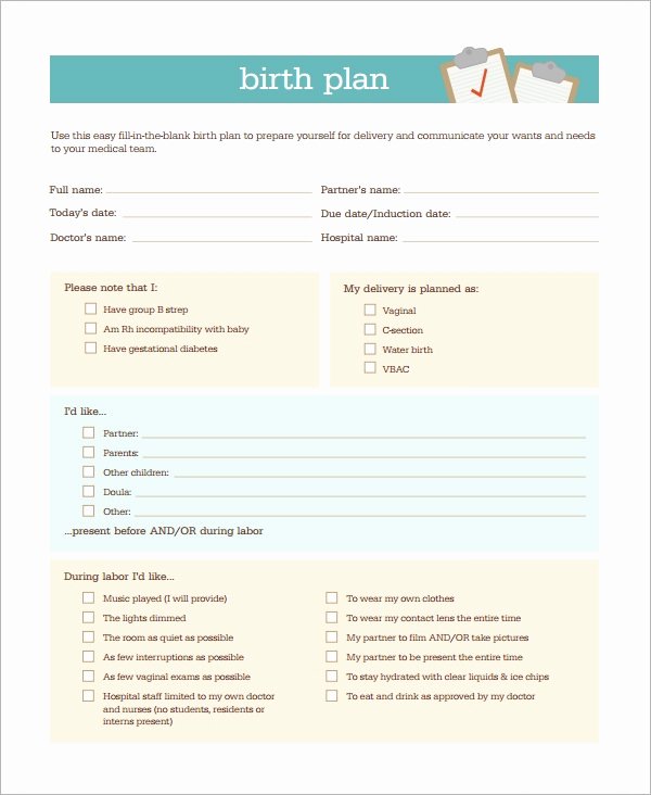 Birth Plan Template Word Doc Fresh Birth Plan Template 20 Download Free Documents In Pdf Word