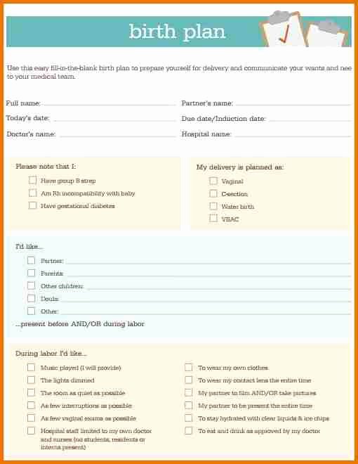 Birth Plan Template Word Doc Fresh Birth Plan Template