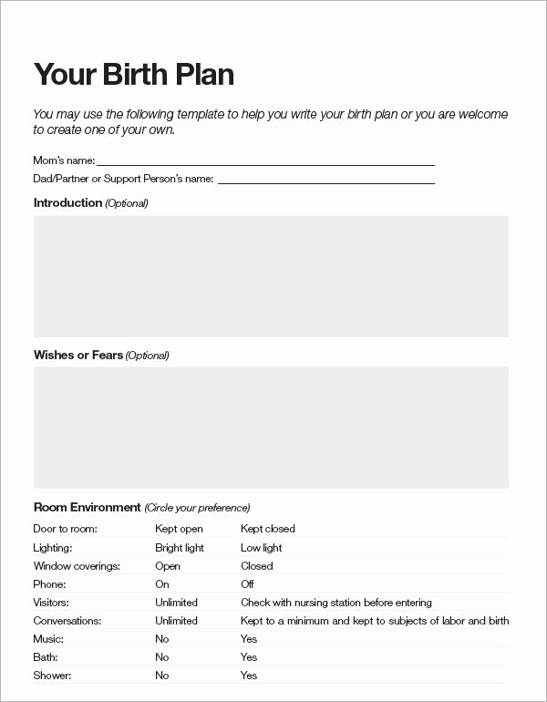 Birth Plan Template Word Doc Fresh Free 23 Sample Birth Plan Templates In Pdf Word