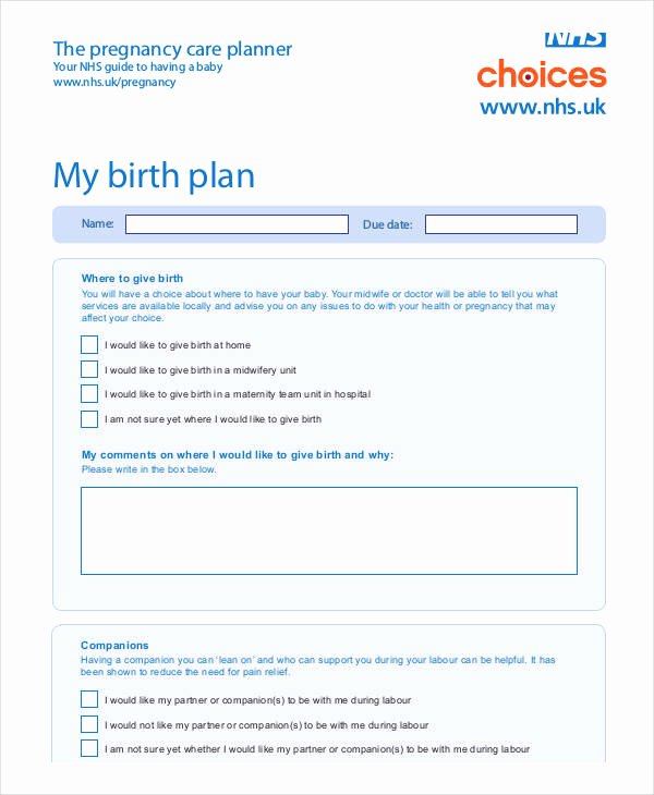 Birth Plan Template Word Doc Lovely Birth Plan Template 17 Free Word Pdf Documents