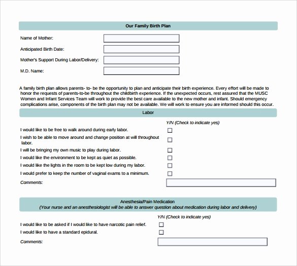 birth plan template