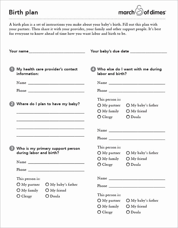 Birth Plan Template Word Doc New 22 Sample Birth Plan Templates – Pdf Word Apple Pages