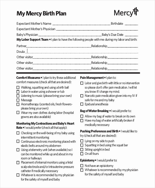 Birth Plan Template Word Doc Unique Birth Plan Template 17 Free Word Pdf Documents