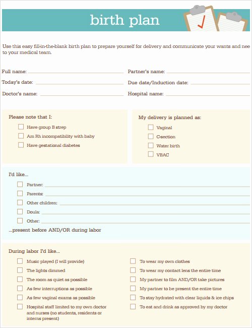Birth Plan Template Word Document Beautiful Sample Plan Template 26 Download Free Documents In Pdf