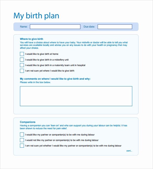 Birth Plan Template Word Document Best Of Free 23 Sample Birth Plan Templates In Pdf Word