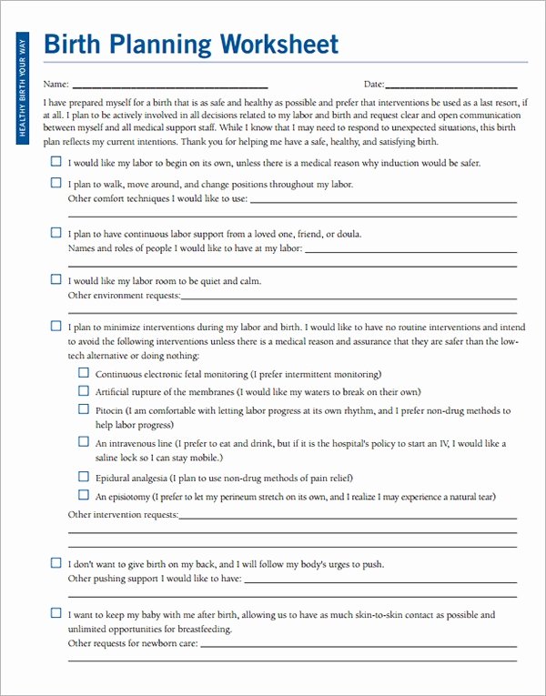 Birth Plan Template Word Document Fresh Free 23 Sample Birth Plan Templates In Pdf Word