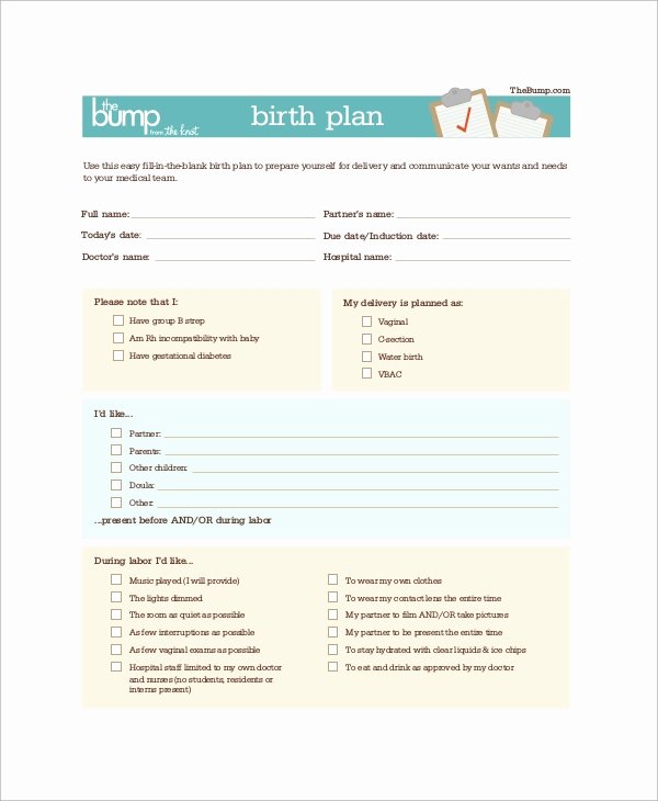 Birth Plan Template Word Document Inspirational Birth Plan Example 11 Samples In Word Pdf