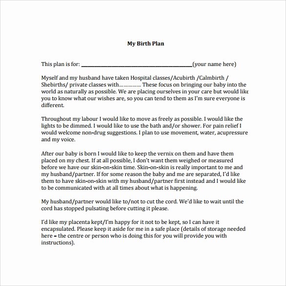 Birth Plan Template Word Document Unique Free 23 Sample Birth Plan Templates In Pdf Word