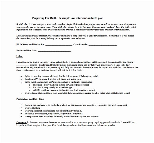 Birth Plan Template Word Document Unique Free 23 Sample Birth Plan Templates In Pdf Word