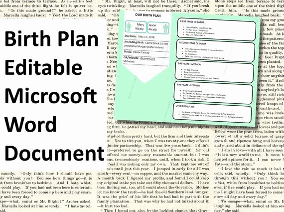 Birth Plan Template Word Document Unique Items Similar to Printable Birth Plan Template Editable