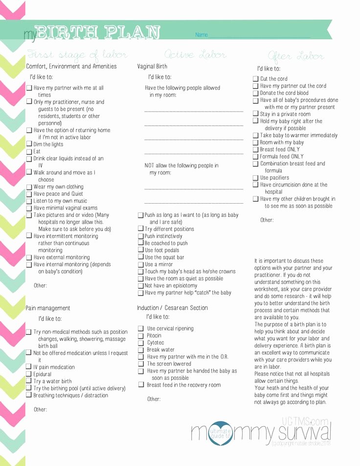 Birth Plan Template Word Fresh Birth Plan Template