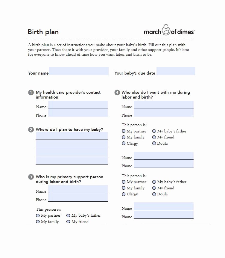 Birth Plan Template Word Inspirational 47 Printable Birth Plan Templates [birth Plan Checklist