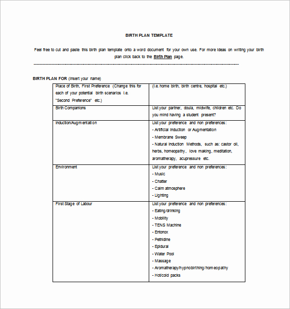 Birth Plan Template Word Inspirational Birth Plan Template 10 Free Pdf Word Documents