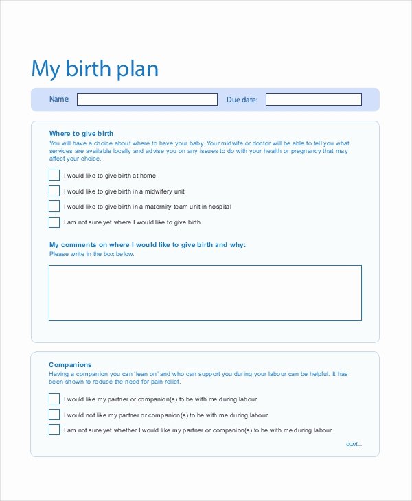 Birth Plan Template Word Lovely Birth Plan Template 11 Free Word Pdf Documents