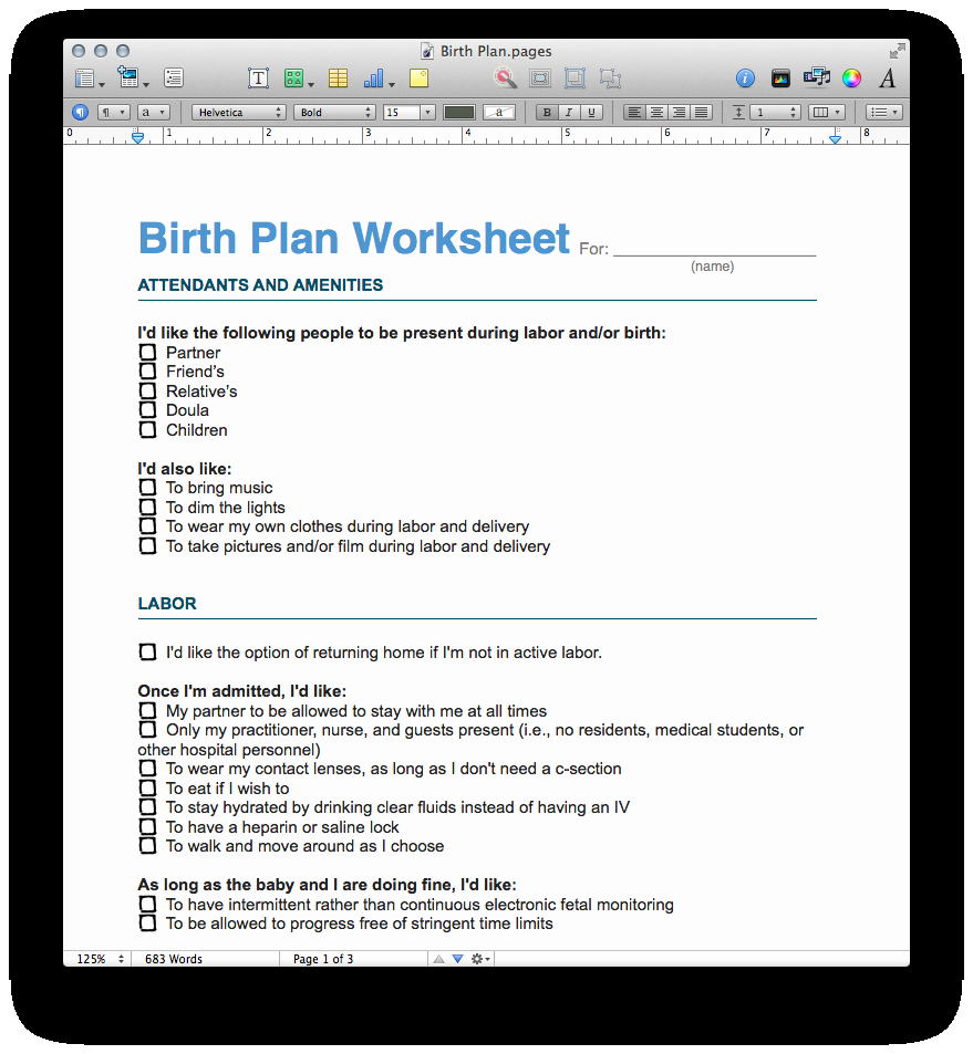Birth Plan Template Word Luxury Birth Plan Template Pdf and Pages Mactemplates