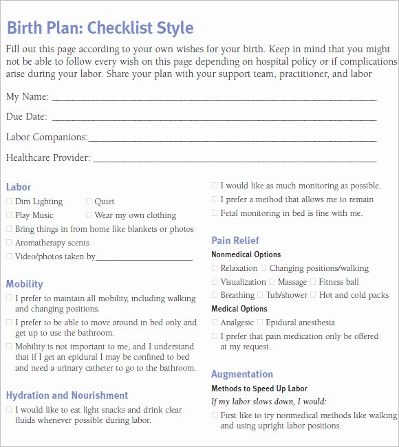 Birth Plan Template Word Luxury Free 10 Birth Plan Templates In Free Samples Examples