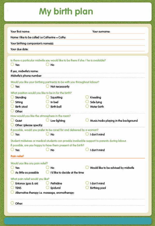 Birth Plan Template Word New Free 23 Sample Birth Plan Templates In Pdf Word