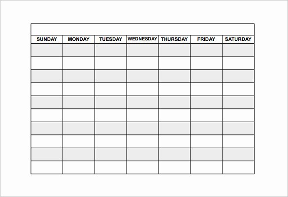 Blank Daily Schedule Template Unique Free Schedule Template