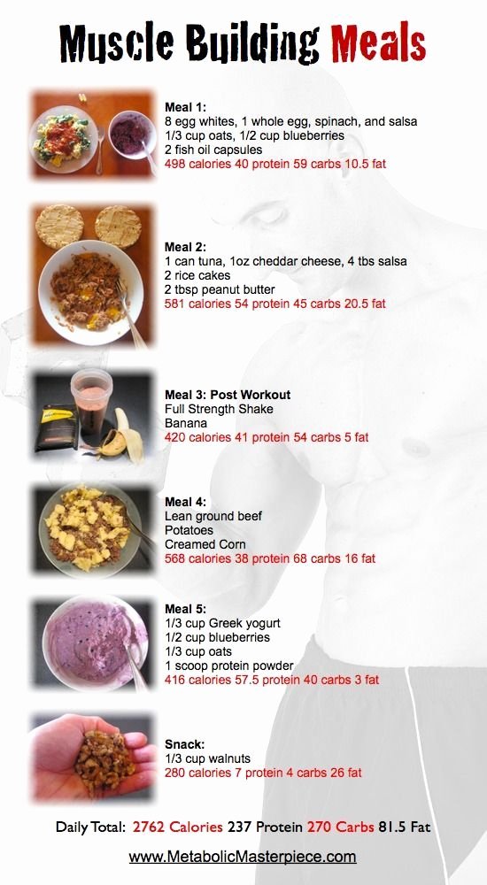 Bodybuilding Meal Planner Template Unique Search Results for “muscle Building Eating Plan