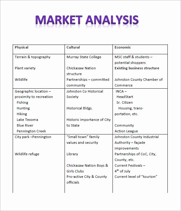 Business Analysis Plan Template Beautiful Free 17 Market Analysis In Pdf Google Docs