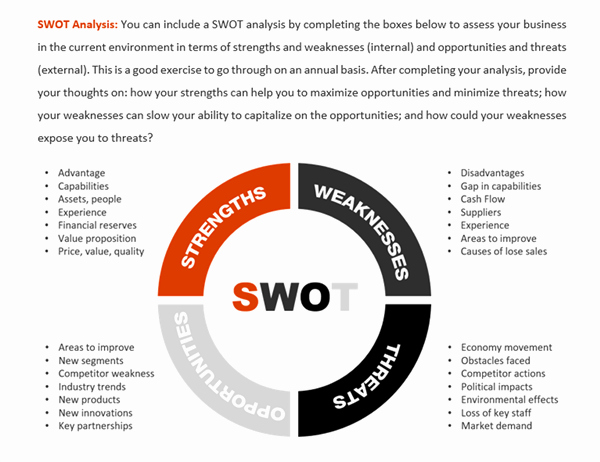 Business Analysis Plan Template Fresh Word