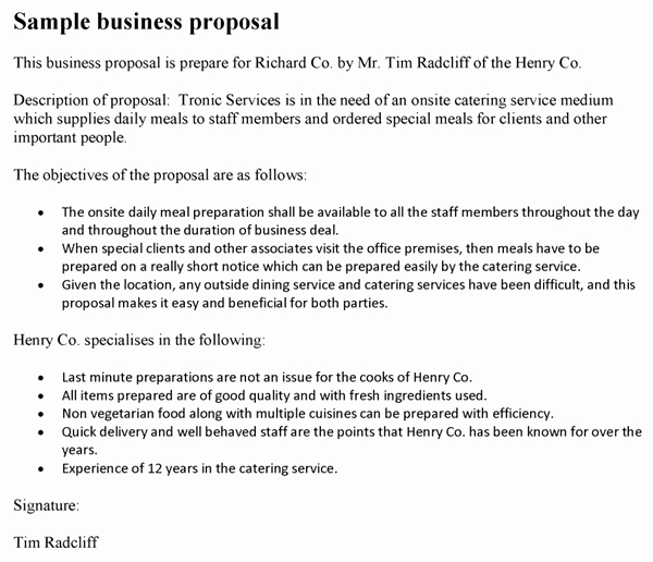 Business Proposal format Template Fresh Business Proposal Template