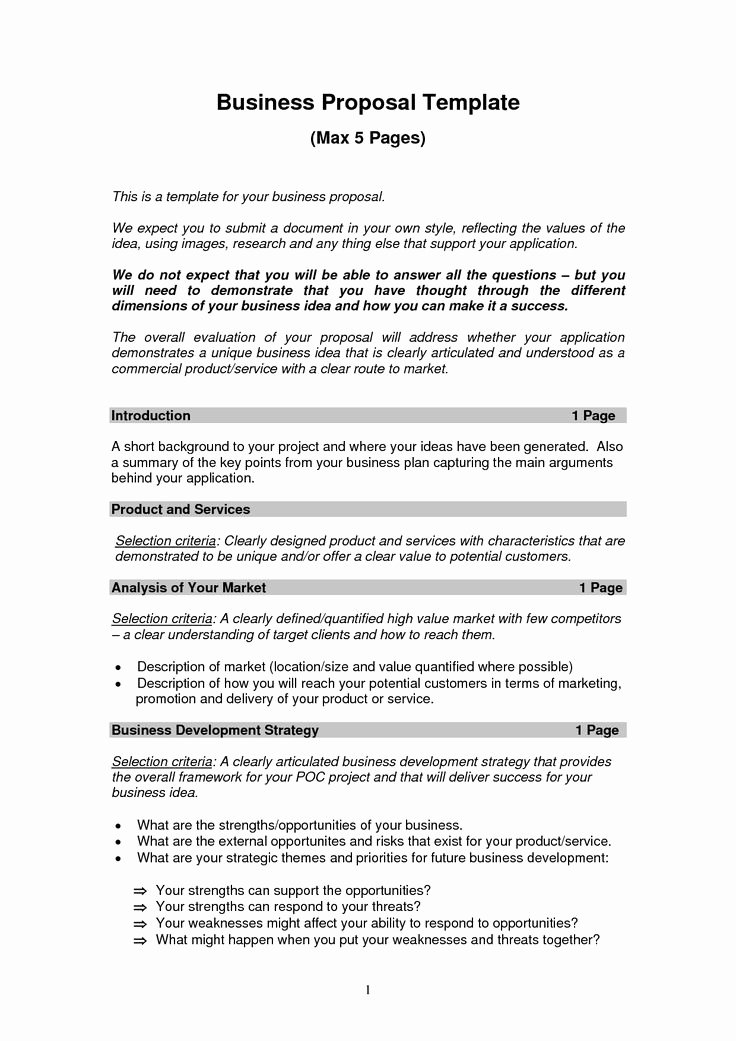 Business Proposal format Template Inspirational Business Proposal Templates Examples