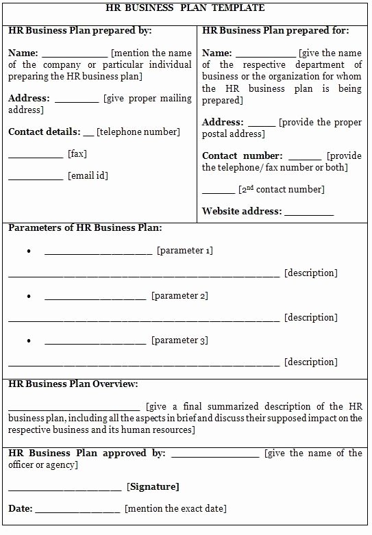 Business Proposal format Template Lovely Business Plan Template