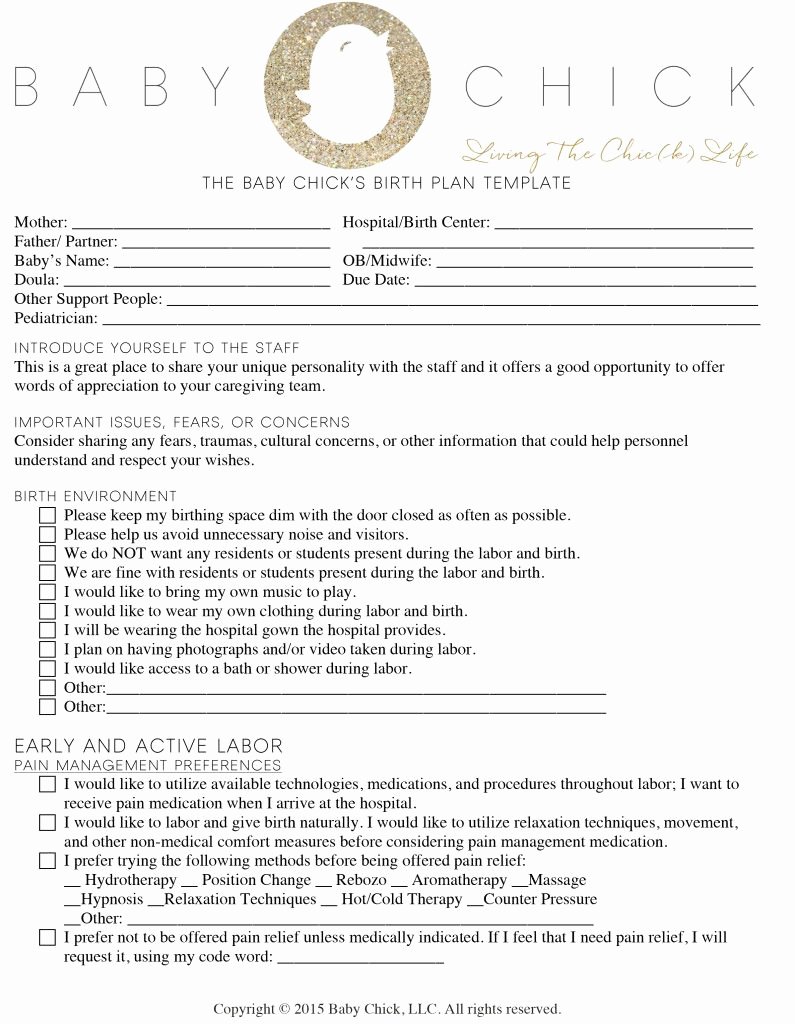 C Section Birth Plan Template Elegant Creating Your Perfect Birth Plan