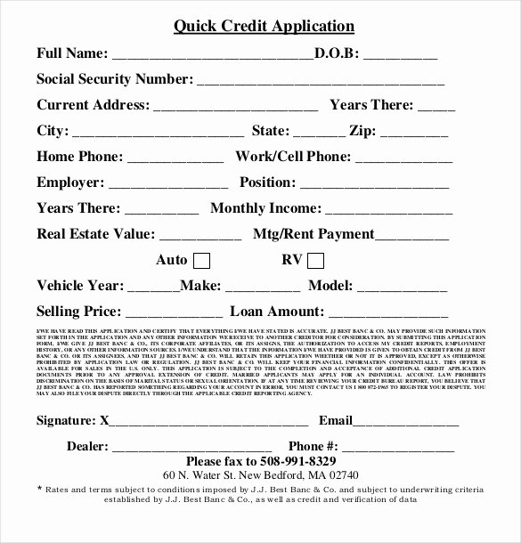 Car Loan Application form Template Elegant Credit Application Template – 13 Free Word Pdf Documents