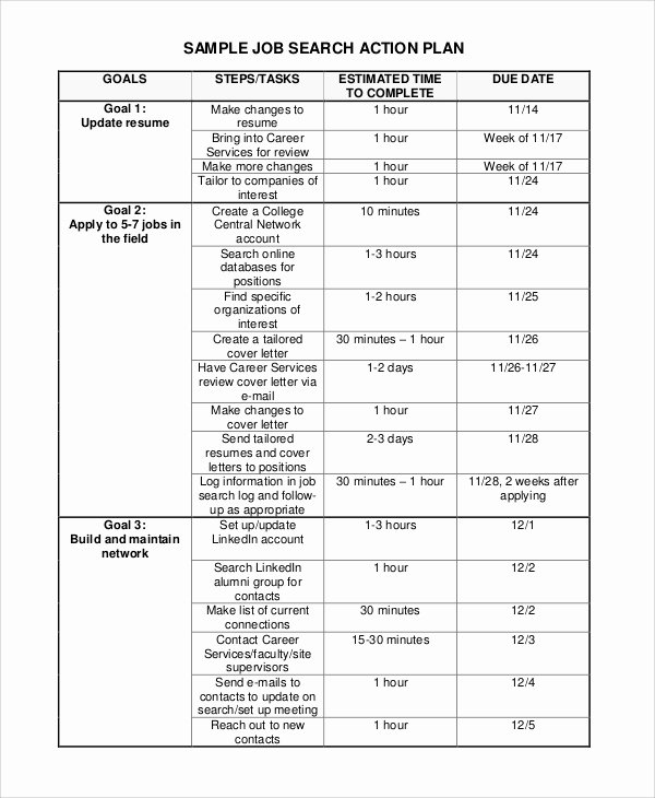 Career Action Plan Template Fresh Sample Plan 43 Examples In Word Pdf