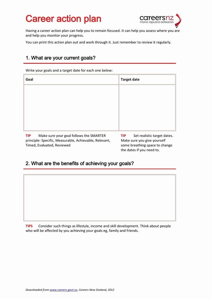 Career Action Plan Template Lovely Action Plan Template