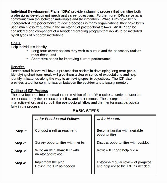 Career Action Plan Template New Sample Career Plan 11 Documents In Pdf Word