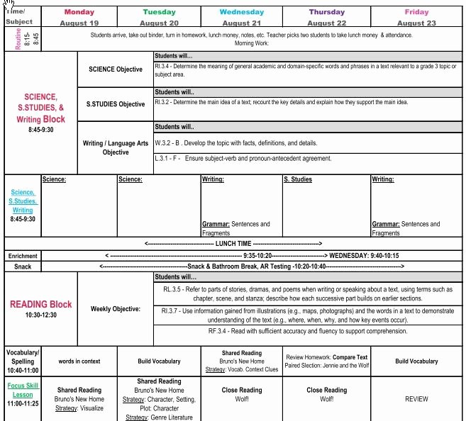 Ccss Lesson Plan Template New Third Grade Mon Core Lesson Plan Template