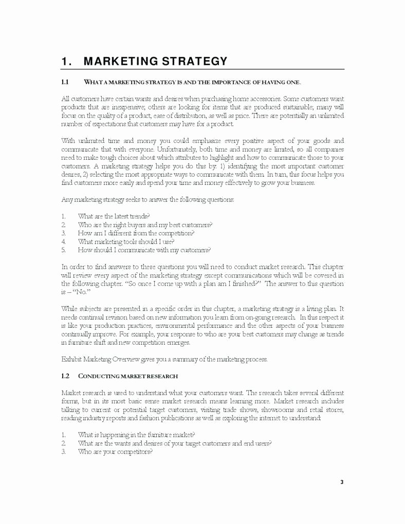 Clothing Line Business Plan Template Fresh 6 Marketing Policy Template and Examples Pdf Word