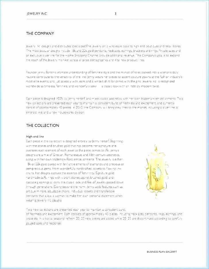 Clothing Line Business Plan Template Fresh Fashion Boutique Business Plan Examples