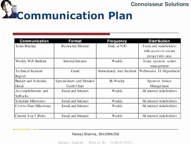 Communication Plan Template Excel Beautiful Stakeholder Strategy Template – Barrestfo