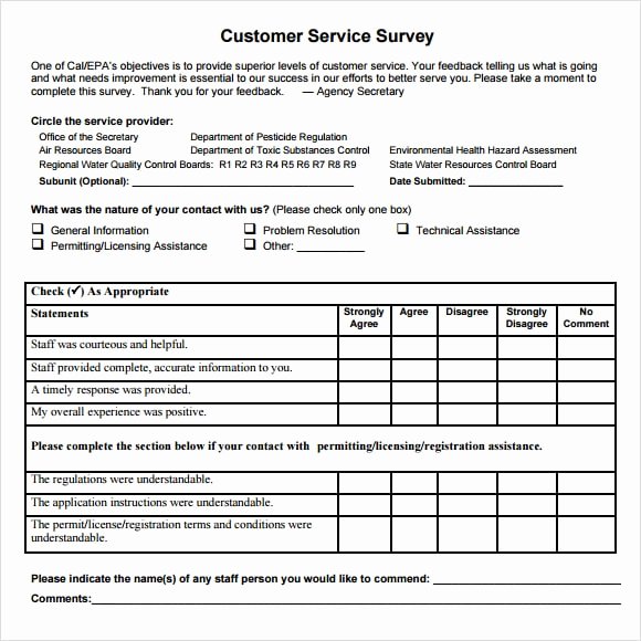 Customer Feedback form Template Beautiful 6 Consumer Questionnaire Examples Pdf