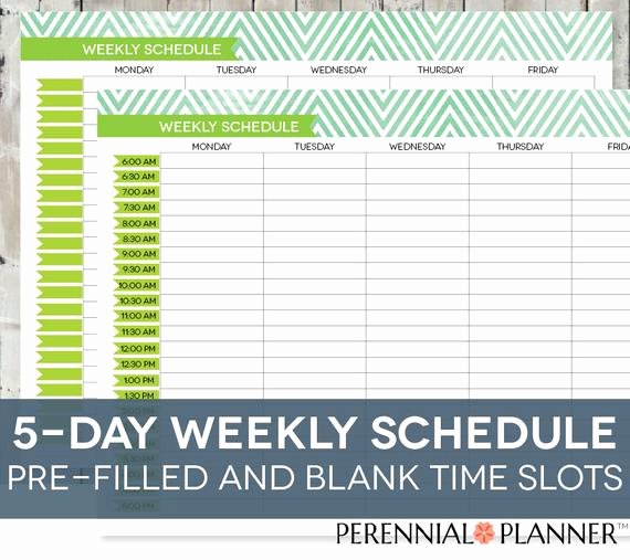 Daily Time Schedule Template Fresh Daily Schedule Printable Editable Times Half Hourly Weekly