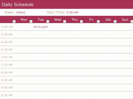 Daily Time Schedule Template New Chore Schedule Fice Templates