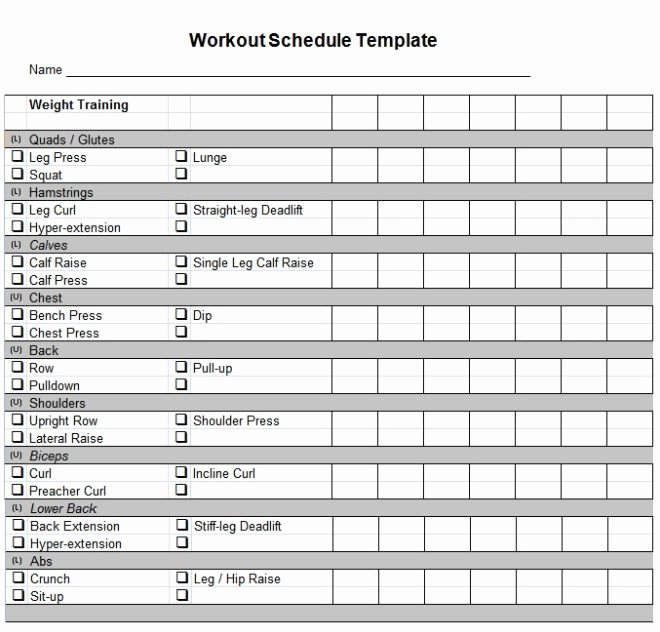 Daily Work Planner Template Elegant Daily Workout Planner Template
