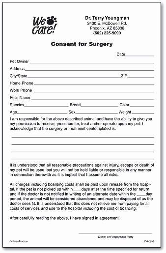 Dental Treatment Consent form Template Elegant Consent for Surgery form