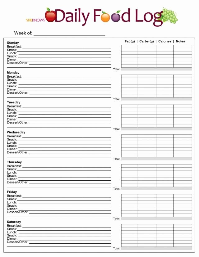 Diabetes Meal Plan Template Best Of Pin by Angela Robinson On Connie In 2019