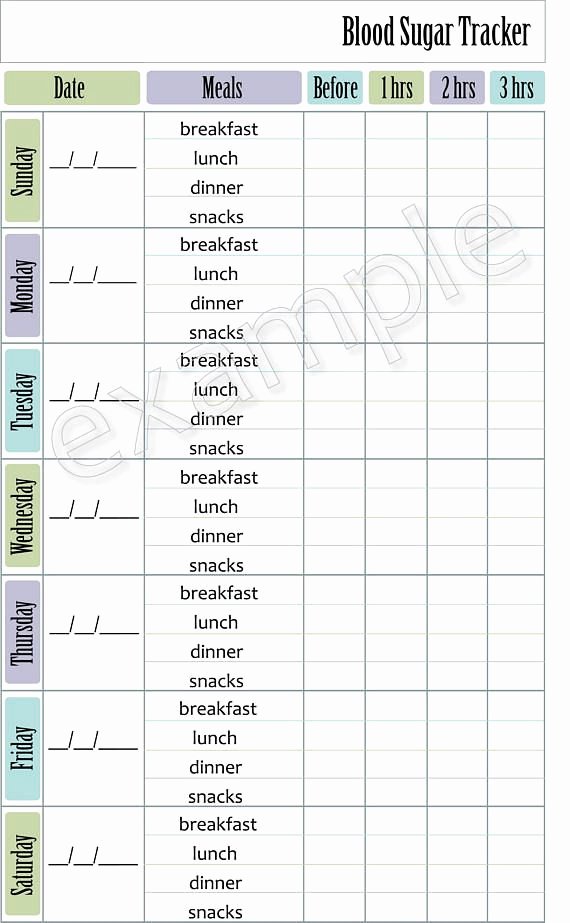 Diabetes Meal Plan Template Elegant Blood Sugar Tracker Blood Glucose Log Diabetic Log