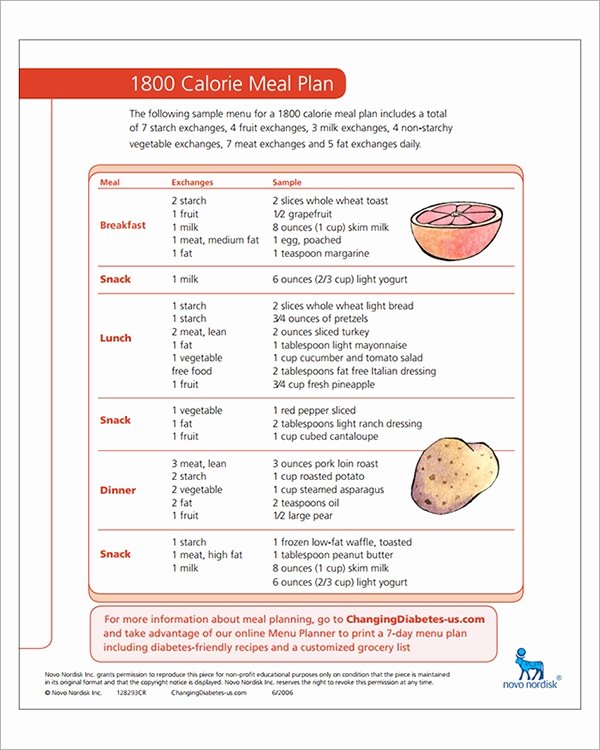 Diabetes Meal Plan Template Unique Free 13 Sample Diet Menu Templates In Illustrator